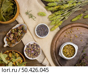 flat lay natural medicinal spices herbs 5. Стоковое фото, агентство Ingram Publishing / Фотобанк Лори