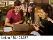Group of friends studying together for finals. Стоковое фото, агентство Ingram Publishing / Фотобанк Лори