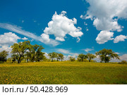 Beautiful landscape view of Portugal - Alentejo. Стоковое фото, агентство Ingram Publishing / Фотобанк Лори