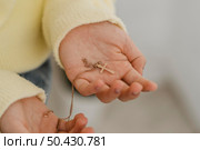 little girl holding cross necklace hands. Стоковое фото, агентство Ingram Publishing / Фотобанк Лори