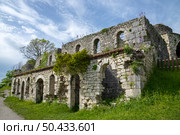Руины древней крепости Анакопия, Новый Афон, Абхазия. Стоковое фото, фотограф Анна Карасева / Фотобанк Лори