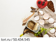 leftover food waste copy space. Стоковое фото, агентство Ingram Publishing / Фотобанк Лори
