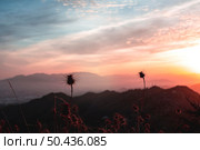 beautiful sunset landscape with trees. Стоковое фото, агентство Ingram Publishing / Фотобанк Лори