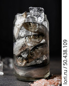 fish jar arrangement. Стоковое фото, агентство Ingram Publishing / Фотобанк Лори