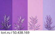 flat lay monochromatic pattern with leaves. Стоковое фото, агентство Ingram Publishing / Фотобанк Лори