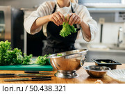 front view female chef tearing salad kitchen. Стоковое фото, агентство Ingram Publishing / Фотобанк Лори