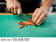 high angle male chef chopping chili. Стоковое фото, агентство Ingram Publishing / Фотобанк Лори