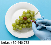 delicious grapes gmo modified food. Стоковое фото, агентство Ingram Publishing / Фотобанк Лори
