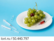 delicious white grapes gmo modified food. Стоковое фото, агентство Ingram Publishing / Фотобанк Лори