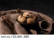 high angle quail eggs bowl. Стоковое фото, агентство Ingram Publishing / Фотобанк Лори