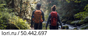 A couple of individuals walking amongst the trees and foliage in a dense forest setting. Стоковое AI-изображение, AI-художник Данила Большаков / Фотобанк Лори