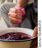 person squeezing cloth from pink natural pigment. Стоковое фото, агентство Ingram Publishing / Фотобанк Лори