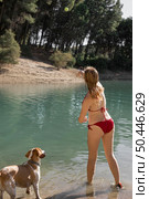 woman dog playing fetch game. Стоковое фото, агентство Ingram Publishing / Фотобанк Лори