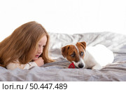 front view girl cute dog christmas concept. Стоковое фото, агентство Ingram Publishing / Фотобанк Лори