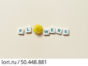 Flowers word formed of scrabble tiles with fresh dandelion flower on beige background. Tender spring card design.. Scrabble tiles with dandelion on beige background. Стоковое фото, агентство Ingram Publishing / Фотобанк Лори