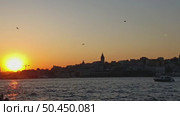 Istanbul, Turkey – June 8, 2025: Beyoglu district with the famous Galata Tower. Iconic Istanbul city view with ships and seagulls at sunset. Редакционное видео, видеограф Оксана Чаюн / Фотобанк Лори
