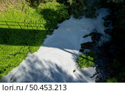 View from the top of the bridge of white foam pollutants swirling across the water surface floating on river Caima, Palmaz - Oliveira de Azemeis - Portugal. Стоковое фото, агентство Ingram Publishing / Фотобанк Лори