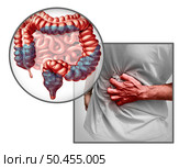 Constipation anatomy and constipated symptoms as stool bowel movement problem as an Intestine and rectum of a digestive system on white with 3D illustration elements. Стоковое фото, агентство Ingram Publishing / Фотобанк Лори