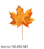 Autumn maple leaf. Leaf fall. Vector illustration. Стоковая иллюстрация, агентство Ingram Publishing / Фотобанк Лори