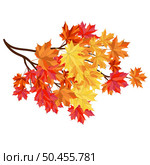 Autumn  Frame With Blowing Maple Leaves  Over White Background. Elegant Design. Vector Illustration. Стоковая иллюстрация, агентство Ingram Publishing / Фотобанк Лори