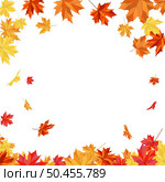 Autumn  Frame With Blowing Maple Leaves  Over White Background. Elegant Design. Vector Illustration. Стоковая иллюстрация, агентство Ingram Publishing / Фотобанк Лори