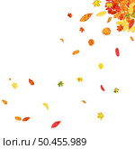 Autumn  Frame With Blowing Leaves  Over White Background. Elegant Design. Vector Illustration. Стоковая иллюстрация, агентство Ingram Publishing / Фотобанк Лори