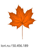 Autumn maple leaf. Leaf fall. Vector illustration. Стоковая иллюстрация, агентство Ingram Publishing / Фотобанк Лори