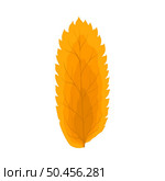 Autumn Rowan leaf. Leaf fall. Vector illustration. Стоковая иллюстрация, агентство Ingram Publishing / Фотобанк Лори
