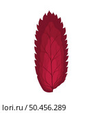 Autumn Rowan leaf. Leaf fall. Vector illustration. Стоковая иллюстрация, агентство Ingram Publishing / Фотобанк Лори
