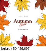 Autumn sale banner template decorate with maple, ash-tree leaves in warm color tone for shopping sale or promotion poster and web banner. Doodle sketch autumn leaves design. Vector illustration. Стоковая иллюстрация, агентство Ingram Publishing / Фотобанк Лори