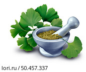 Ginkgo Biloba Supplement Concept as an alternative natural Medical health idea and herbal medicine with a mortar and pestle as a natural medication and pharmacy symbol with 3D illustration elements. Стоковое фото, агентство Ingram Publishing / Фотобанк Лори