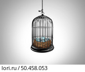 Limited Opportunity Concept and lack of future opportunities as a nest full of eggs imprisoned in a bird cage as a symbol for restricted plan with 3D illustration elements. Стоковое фото, агентство Ingram Publishing / Фотобанк Лори