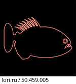 Neon piranha angry fish red color vector illustration image flat style light. Neon piranha angry fish red color vector illustration image flat style. Стоковая иллюстрация, агентство Ingram Publishing / Фотобанк Лори