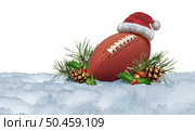 Winter Football and Christmas holiday sports as an American sport during the cold season or field goal and touchdown on a field with snow and pine cones as a concept for a team sport competition with 3D illustration elements. Стоковое фото, агентство Ingram Publishing / Фотобанк Лори