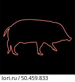 Neon wild boar Hog wart Swine Suidae Sus Tusker Scrofa red color vector illustration image flat style light. Neon wild boar Hog wart Swine Suidae Sus Tusker Scrofa red color vector illustration image flat style. Стоковая иллюстрация, агентство Ingram Publishing / Фотобанк Лори