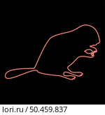 Neon beaver animal Rodent stand red color vector illustration image flat style light. Neon beaver animal Rodent stand red color vector illustration image flat style. Стоковая иллюстрация, агентство Ingram Publishing / Фотобанк Лори