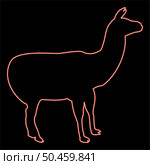 Neon alpaca Llama Lama Guanaco red color vector illustration image flat style light. Neon alpaca Llama Lama Guanaco red color vector illustration image flat style. Стоковая иллюстрация, агентство Ingram Publishing / Фотобанк Лори