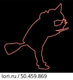 Neon fairy Wizard Witch flying on broom Subject for Halloween concept red color vector illustration image flat style light. Neon fairy Wizard Witch flying on broom Subject for Halloween concept red color vector illustration image flat style. Стоковая иллюстрация, агентство Ingram Publishing / Фотобанк Лори