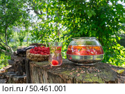 Чайник и чашка ягодного чая с малиной, календулой и мятой. Стоковое фото, фотограф Лариса Веселова / Фотобанк Лори