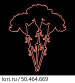 Neon bouquet of flowers Carnation red color vector illustration image flat style light. Neon bouquet of flowers Carnation red color vector illustration image flat style. Стоковая иллюстрация, агентство Ingram Publishing / Фотобанк Лори