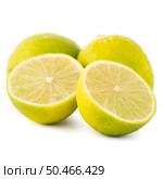 Fresh green limes isolated on white background. Стоковое фото, агентство Ingram Publishing / Фотобанк Лори