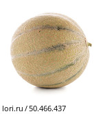 Juicy honeydew melon on a white background. Стоковое фото, агентство Ingram Publishing / Фотобанк Лори
