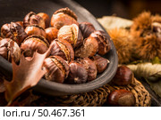Roasted chestnuts on a rustic wooden table with autumn leaves in the background. Стоковое фото, агентство Ingram Publishing / Фотобанк Лори