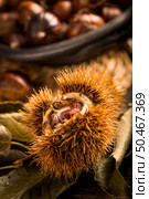 Roasted chestnuts on a rustic wooden table with autumn leaves in the background. Стоковое фото, агентство Ingram Publishing / Фотобанк Лори