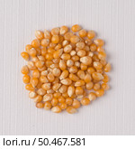 Top view of circle of corn against white vinyl background. Стоковое фото, агентство Ingram Publishing / Фотобанк Лори