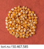 Top view of circle of corn against red vinyl background. Стоковое фото, агентство Ingram Publishing / Фотобанк Лори