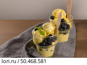 Vanilla ice cream with blackberries in the glass vases. Стоковое фото, агентство Ingram Publishing / Фотобанк Лори