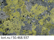 Grunge old stone background. Стоковое фото, агентство Ingram Publishing / Фотобанк Лори