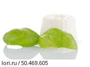 White fresh cheese with fresh basil leaves on white reflective background. Стоковое фото, агентство Ingram Publishing / Фотобанк Лори