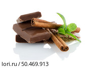 Chocolate parts and cinnamon sticks isolated on white background. Стоковое фото, агентство Ingram Publishing / Фотобанк Лори